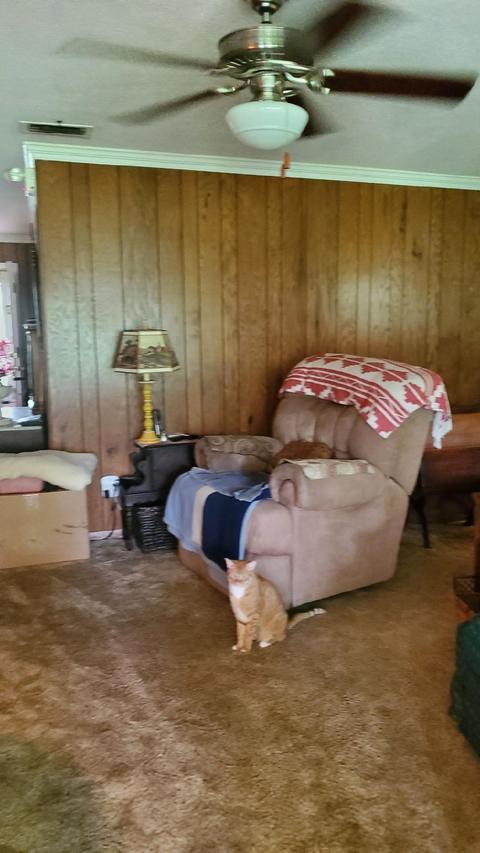 2034 N Johnson Stripling Rd, Perry, FL 32347 photo 4