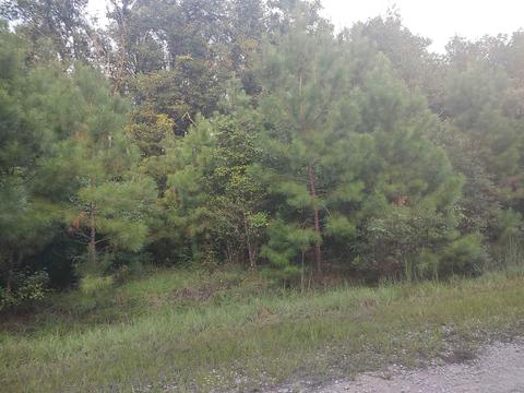 461 Orchard Rd, Quincy, FL 32351