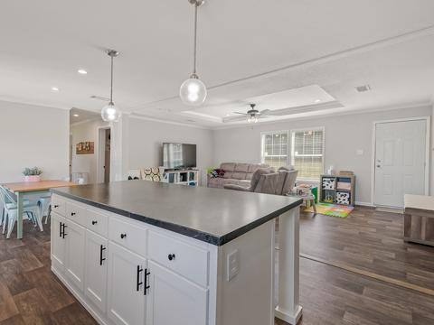 46 Big Joe Rd, Monticello, FL 32344 photo 4