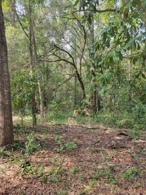 2030 W Reddick Dr, Perry, FL 32347 photo 26