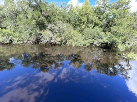 243 Alton Ln, Sopchoppy, FL 32358