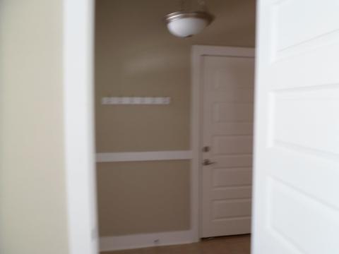 1627 Miccosukee Loop, Tallahassee, FL 32308 photo 29