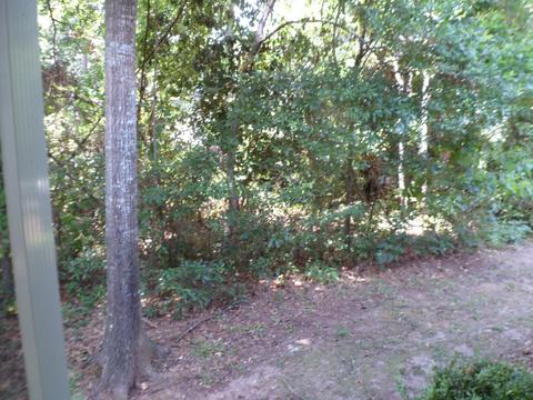 1627 Miccosukee Loop, Tallahassee, FL 32308 photo 17