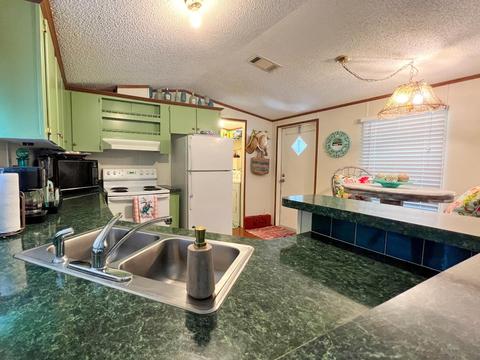 2667 Sea Meadows Dr, Perry, FL 32348 photo 13