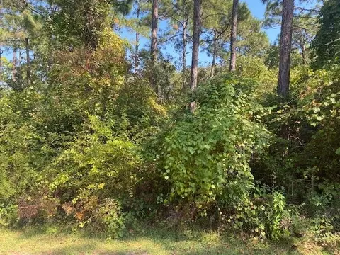 112 Laughing Gull Ln, Carrabelle, FL 32323