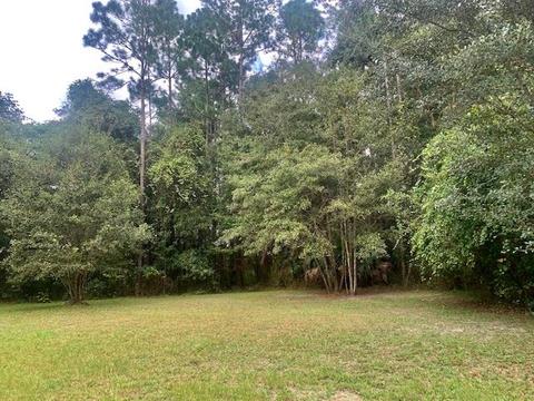 3805 San Pedro Rd, Perry, FL 32347 photo 4