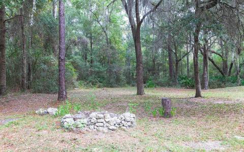 4850 Puckett Rd, Perry, FL 32348 photo 4