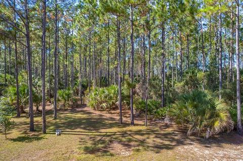 702 SW 345 Ave, Steinhatchee, FL 32359 photo 31