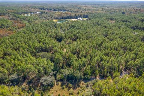 702 SW 345 Ave, Steinhatchee, FL 32359 photo 32