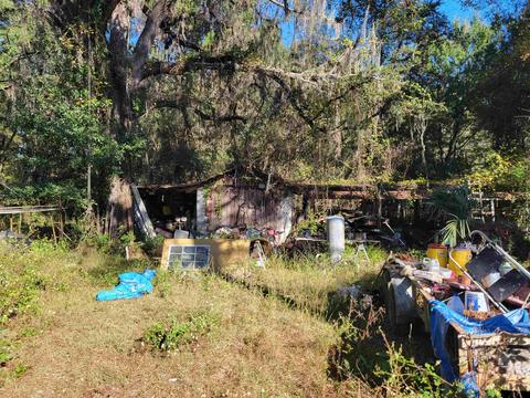 2984 Johnson Stripling Rd, Perry, FL 32347 photo 8
