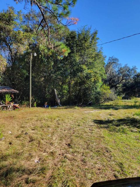 2984 Johnson Stripling Rd, Perry, FL 32347 photo 5