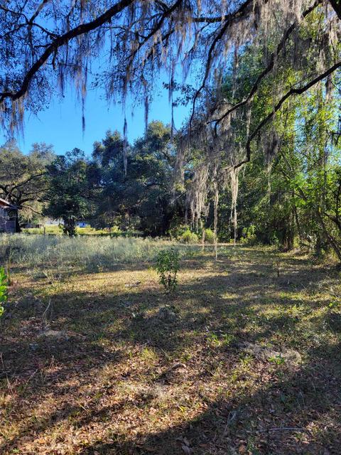 2984 Johnson Stripling Rd, Perry, FL 32347 photo 2