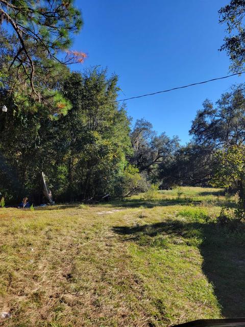 2984 Johnson Stripling Rd, Perry, FL 32347 photo 4