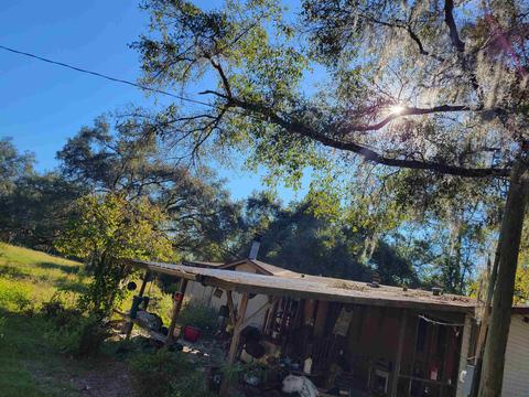 2984 Johnson Stripling Rd, Perry, FL 32347 photo 3