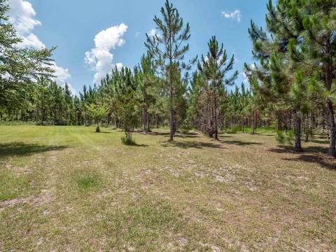 210 W Davis Walker Rd, Perry, FL 32348 photo 16