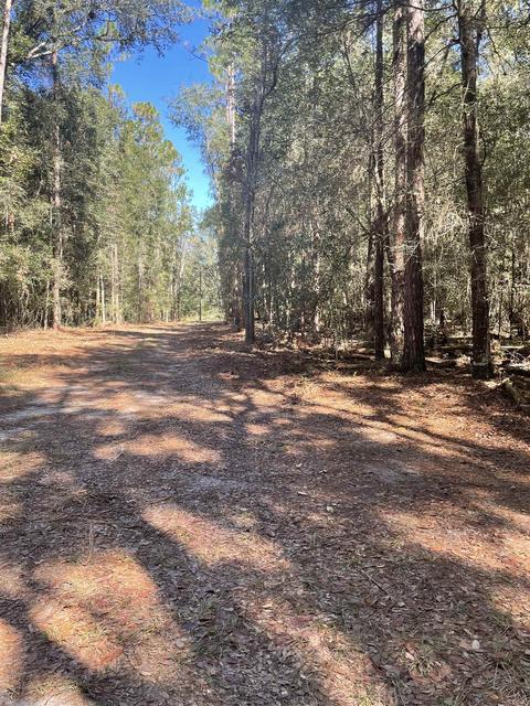 288 SE Carpetbagger Trl, Lee, FL 32059 photo 14