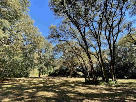 288 SE Carpetbagger Trl, Lee, FL 32059 photo 16