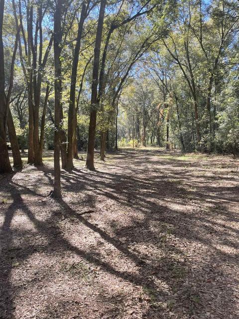 288 SE Carpetbagger Trl, Lee, FL 32059 photo 13