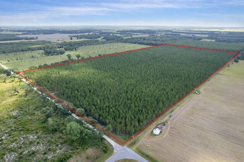 Vacant SE Hardee Drive, Lee, FL 32059