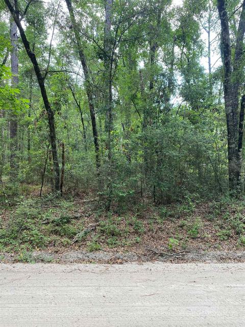 3 Chicopee Road, Crawfordville, FL 32327
