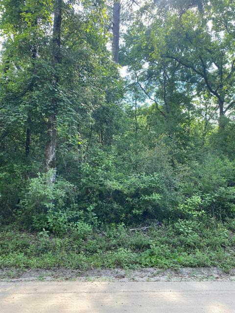 61 Iroquois Road, Crawfordville, FL 32327