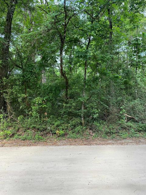 74 Rochelsie Road, Crawfordville, FL 32327