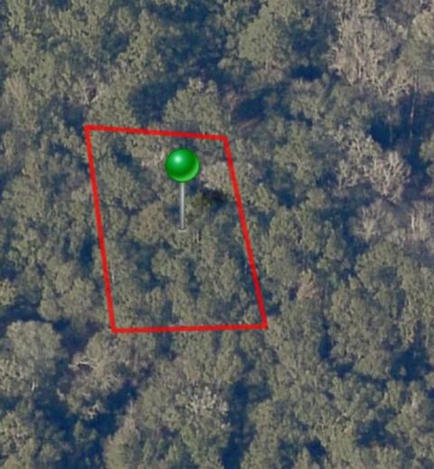 Nnnn Robinson Oak Drive, Tallahassee, FL 32303