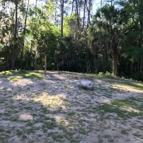 86 Ladd Dr, Saint Marks, FL 32355 photo 2
