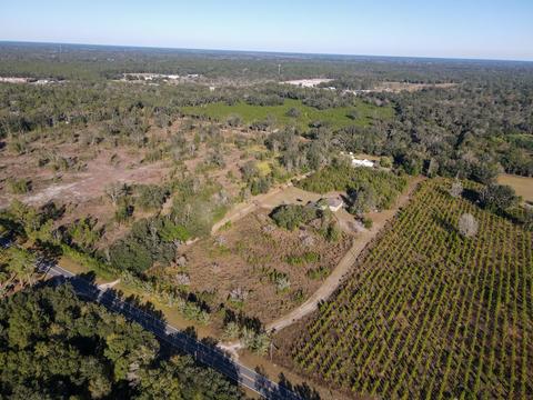 3026 Puckett Rd, Perry, FL 32348 photo 9