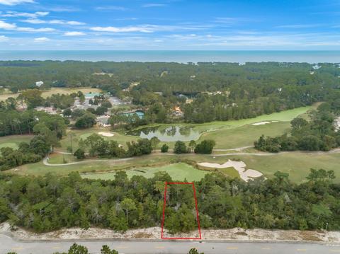 148 Anhinga Trl, Carrabelle, FL 32322 photo 3