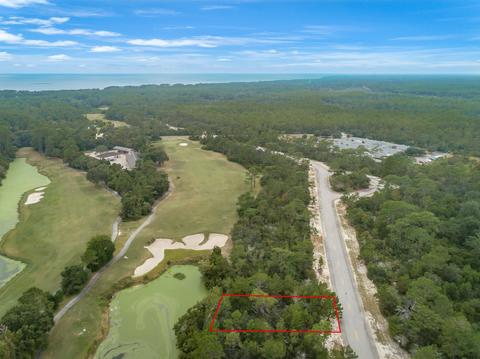 148 Anhinga Trl, Carrabelle, FL 32322 photo 1