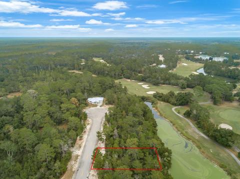 148 Anhinga Trl, Carrabelle, FL 32322 photo 5