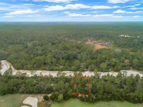 148 Anhinga Trl, Carrabelle, FL 32322 photo 4
