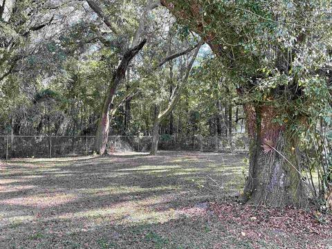 1900 Bets Bend Rd, Perry, FL 32347 photo 24
