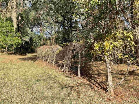 1900 Bets Bend Rd, Perry, FL 32347 photo 20