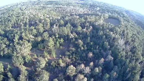 00 Sr-20, Bristol, FL 32321 photo 13