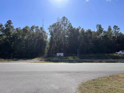00 Sr-20, Bristol, FL 32321 photo 22