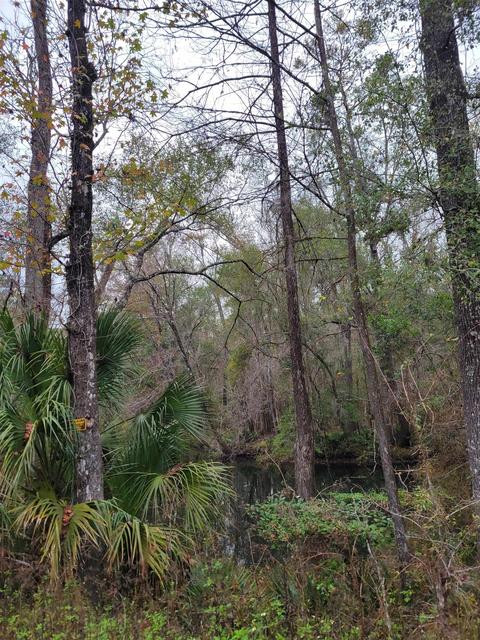 162 Natural Bridge Rd, Monticello, FL 32344
