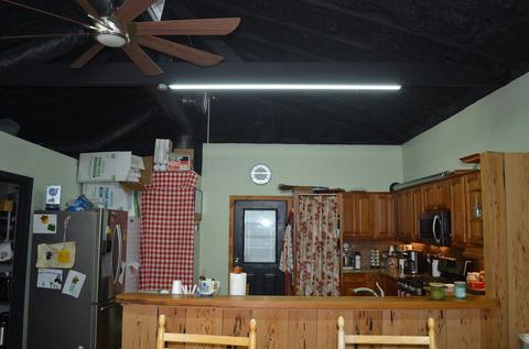1519 Andrew Reams Rd, Perry, FL 32347 photo 10