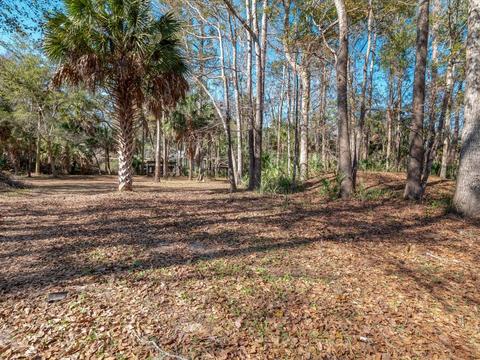 1417 NE Palm St, Steinhatchee, FL 32359 photo 27
