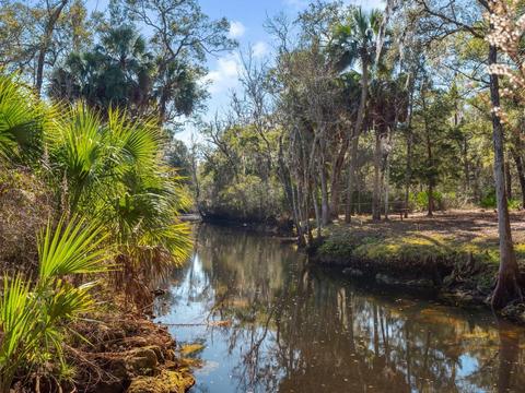 1417 NE Palm St, Steinhatchee, FL 32359 photo 4