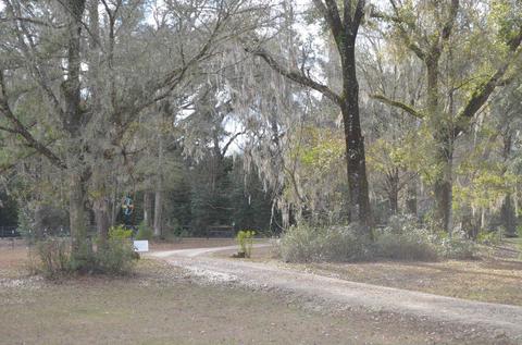 1330 Tw Wilson Rd, Perry, FL 32347 photo 27