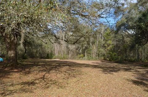 1330 Tw Wilson Rd, Perry, FL 32347 photo 29