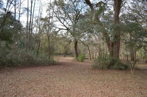 1330 Tw Wilson Rd, Perry, FL 32347 photo 33