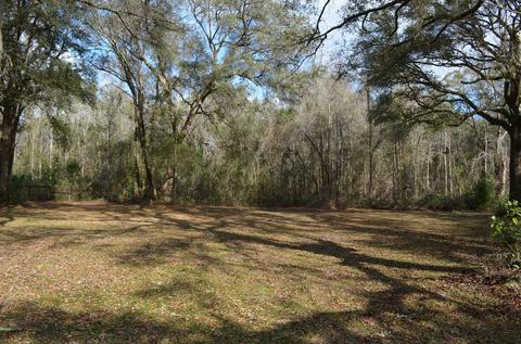 1330 Tw Wilson Rd, Perry, FL 32347 photo 31