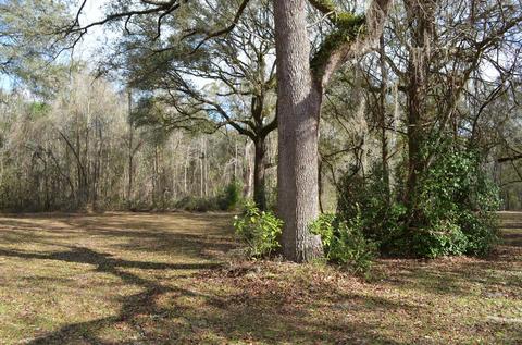 1330 Tw Wilson Rd, Perry, FL 32347 photo 30