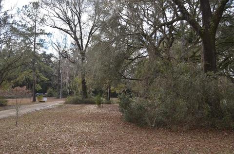 1330 Tw Wilson Rd, Perry, FL 32347 photo 34