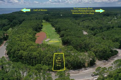 181 Royal Tern Way, Carrabelle, FL 32322 photo 1