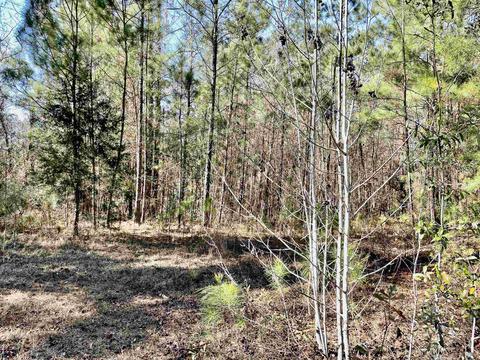 tbd Glory Rd, Quincy, FL 32351 photo 18