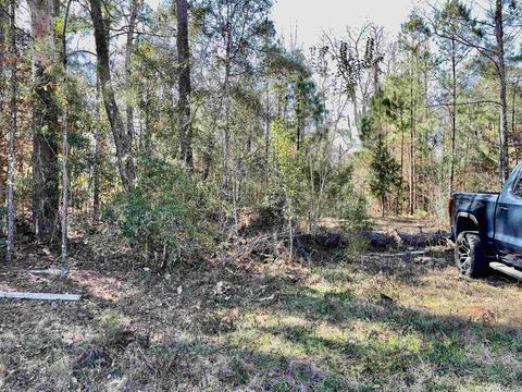 tbd Glory Rd, Quincy, FL 32351 photo 12